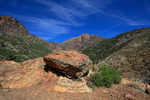 photo thumbnail #3