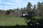 photo thumbnail #3