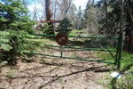 photo thumbnail #5