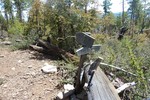 photo thumbnail #9