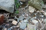 photo thumbnail #10