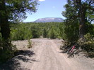 photo thumbnail #5