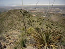 photo thumbnail #8
