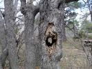 photo thumbnail #13