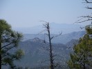 photo thumbnail #7