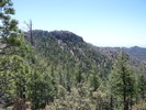 photo thumbnail #8