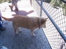 photo thumbnail #14