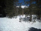 photo thumbnail #12