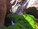 photo thumbnail #11
