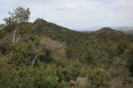 photo thumbnail #10