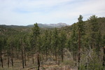 photo thumbnail #12