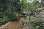 photo thumbnail #13