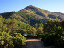 photo thumbnail #2