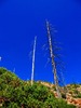 photo thumbnail #12