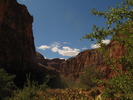 photo thumbnail #13