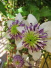 photo thumbnail #1