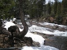 photo thumbnail #8