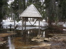photo thumbnail #11