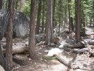 photo thumbnail #5