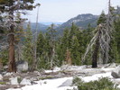 photo thumbnail #10