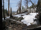 photo thumbnail #11