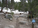 photo thumbnail #1