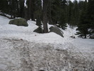 photo thumbnail #4