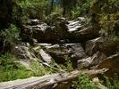 photo thumbnail #6