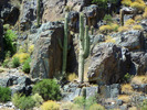photo thumbnail #15
