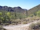 photo thumbnail #1