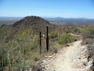 photo thumbnail #3