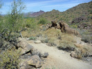 photo thumbnail #4
