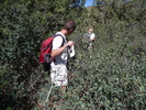 photo thumbnail #11