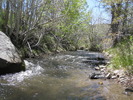 photo thumbnail #2