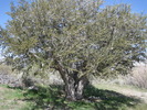 photo thumbnail #10