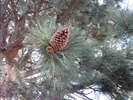 photo thumbnail #11