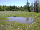 photo thumbnail #5