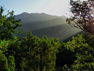 photo thumbnail #1