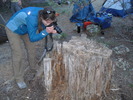photo thumbnail #3