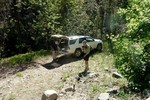 photo thumbnail #3