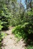 photo thumbnail #11