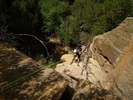 photo thumbnail #4