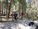 photo thumbnail #1