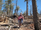 photo thumbnail #4