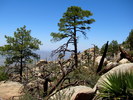 photo thumbnail #12