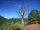 photo thumbnail #4
