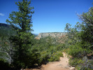photo thumbnail #7