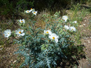 photo thumbnail #14