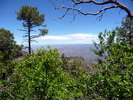 photo thumbnail #14