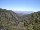 photo thumbnail #4